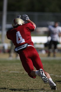 九游体育官方app-CBA赛季转会期开放多支球队进行大规模阵容调整，cba转会动态2021